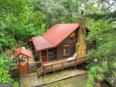 Lake Blue Ridge Home For Sale in Blue Ridge Georgia