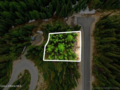 (private lake, pond, creek) Lot For Sale in Sandpoint Idaho