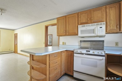 Tucked away on a private rural lot in scenic Salem, this - photo 14