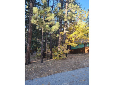 Big Bear Lake Lot For Sale in Big Bear Lake California