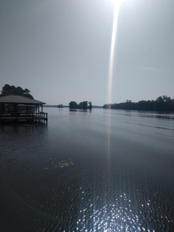 (private lake) Lot Sale Pending in Albany Georgia