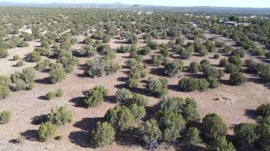 Lake Lot For Sale in Show Low, Arizona