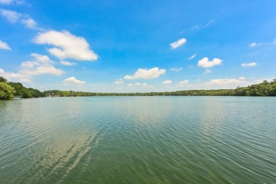Fully renovated in 2022, this luxurious 4BR, 4.5BA lakefront - photo 4