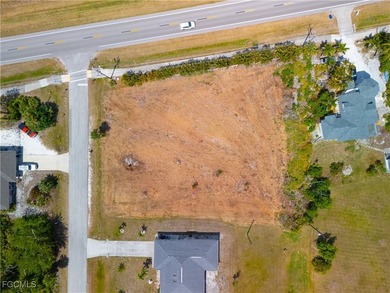 Welcome to beautiful Pine Island Florida! This incredible - photo 13