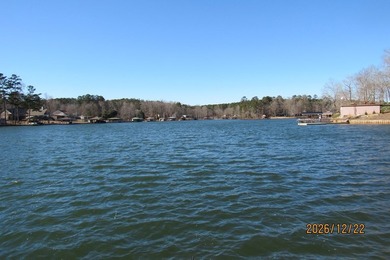 SITE BUILT A FRAME. BIG WATER,DRIVE-IN BOATHOUSE WITH DOCK.HOME - photo 10