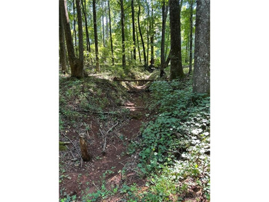 (private lake, pond, coastal) Acreage For Sale in Good Hope Georgia