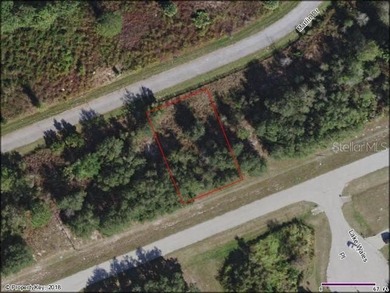 Lake Marion - Polk County Lot For Sale in Poinciana Florida
