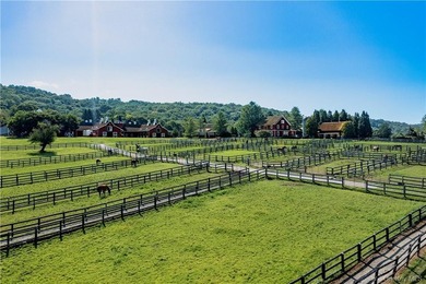 Kirby Hill Farm, an exceptional equestrian estate set on 247 - photo 34