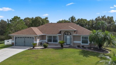 (private lake, pond, creek) Home For Sale in Kissimmee Florida