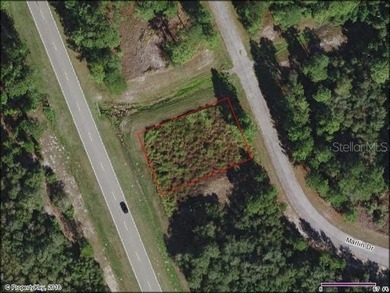 Lake Marion - Polk County Lot For Sale in Poinciana Florida