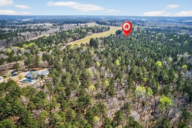 Absolutely stunning property located in Deerfield Landing! The - photo 3