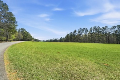 Absolutely stunning property located in Deerfield Landing! The - photo 6