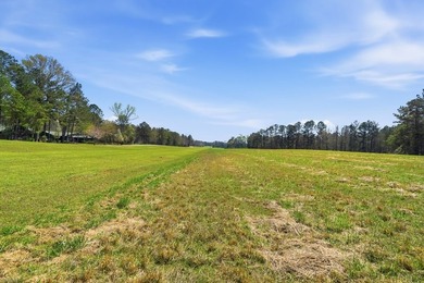 Absolutely stunning property located in Deerfield Landing! The - photo 7