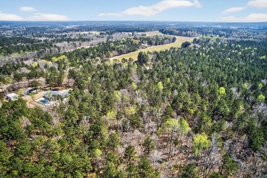 Absolutely stunning property located in Deerfield Landing! The - photo 9