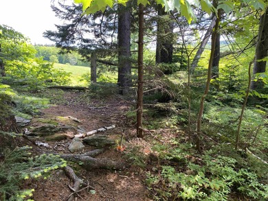 (private lake, pond, creek) Acreage For Sale in Dover Vermont