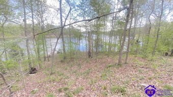 81.741 acres of untapped development potential. Unrestricted, no - Lake Acreage For Sale in Falls Of Rough, Kentucky