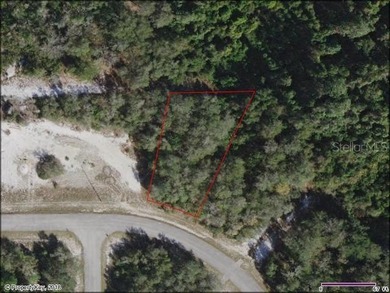 Lake Marion - Polk County Lot For Sale in Poinciana Florida