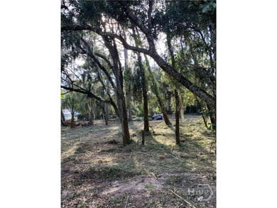 Beautiful lot ready for you to build. Located on Tybee's North - photo 3