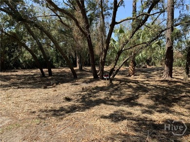 Beautiful lot ready for you to build. Located on Tybee's North - photo 8