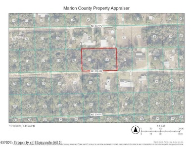Lake Ocklawaha Lot For Sale in Fort Mccoy Florida