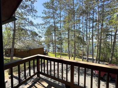 Lake Vermilion Home. South-Facing On Everett Bay Just Off South - photo 39