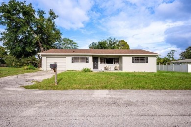 (private lake, pond, creek) Home For Sale in Debary Florida