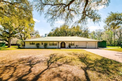 (pending lake) Home For Sale in Lake Panasoffkee Florida