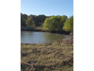 (private lake, pond, creek) Acreage For Sale in Ivanhoe Texas