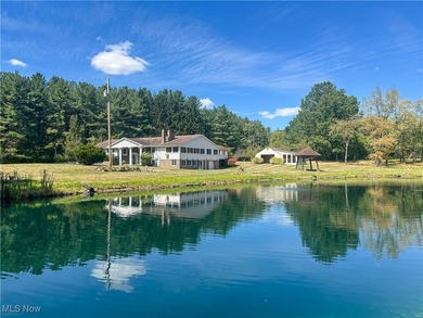 (private lake, pond, creek) Home For Sale in Vienna Ohio