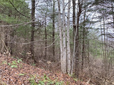 Developers dream, lake access frontage, timber, income producing - photo 11