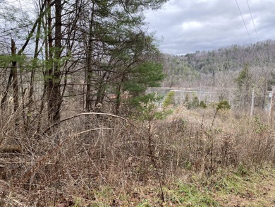 Developers dream, lake access frontage, timber, income producing - photo 12