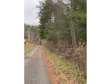 Developers dream, lake access frontage, timber, income producing - photo 13