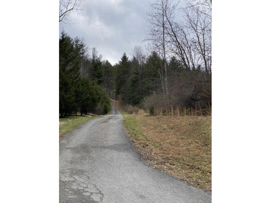 Developers dream, lake access frontage, timber, income producing - photo 15