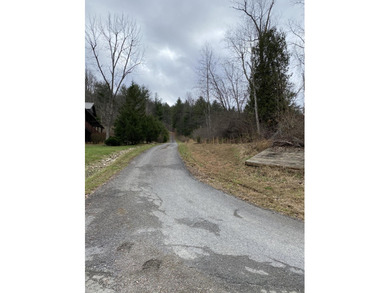 Developers dream, lake access frontage, timber, income producing - photo 16