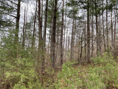 Developers dream, lake access frontage, timber, income producing - photo 17