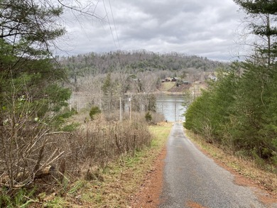 Developers dream, lake access frontage, timber, income producing - photo 18