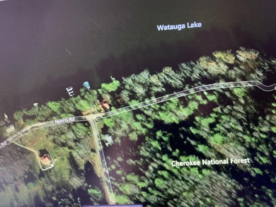 Developers dream, lake access frontage, timber, income producing - photo 21