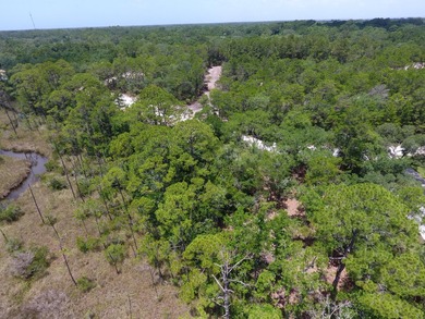 Welcome home to Lot 2 Dog Hobble Lane where old Florida serenity - photo 22