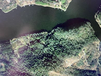 Developers dream, lake access frontage, timber, income producing - photo 24