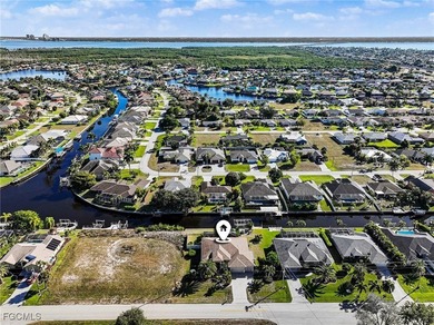 BEST VALUE FOR GULF ACCESS LIVING IN CAPE CORAL. Stop searching - photo 33