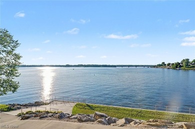 An extraordinary opportunity to own one of Lake Milton's premier - photo 39