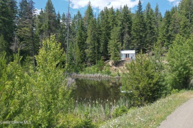 (private lake, pond, creek) Acreage Sale Pending in Saint Maries Idaho