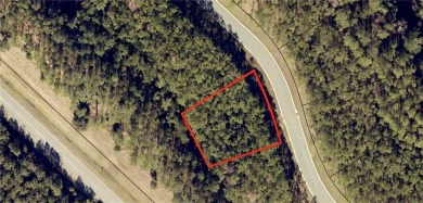 (private lake, pond, coastal) Lot For Sale in Waverly Georgia