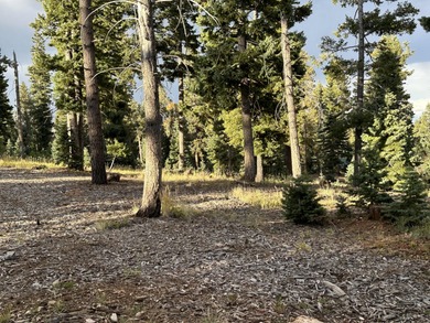 Navajo Lake Lot For Sale in Duck Creek Utah