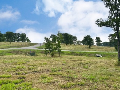 Off Water Corner Lot w/Boat Slip! Lake Views! - photo 21
