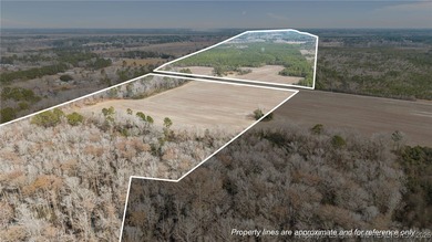 (private lake, pond, coastal) Acreage For Sale in Shannon North Carolina