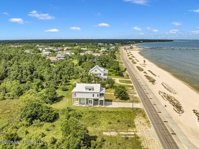 Beach Front w/ DOCK ! Come pick your FLOORS, CABINETS, FIXTURES - photo 7