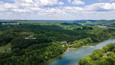 Hiwassee River Acreage For Sale in Calhoun Tennessee