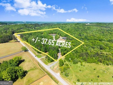 An extraordinary opportunity to own one of North Georgia's - photo 6