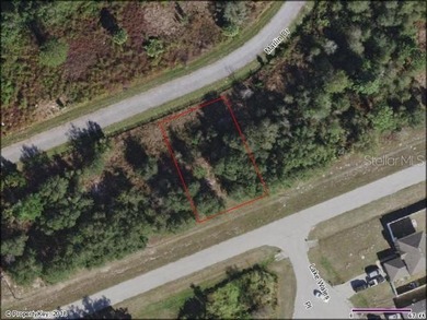 Lake Marion - Polk County Lot For Sale in Poinciana Florida